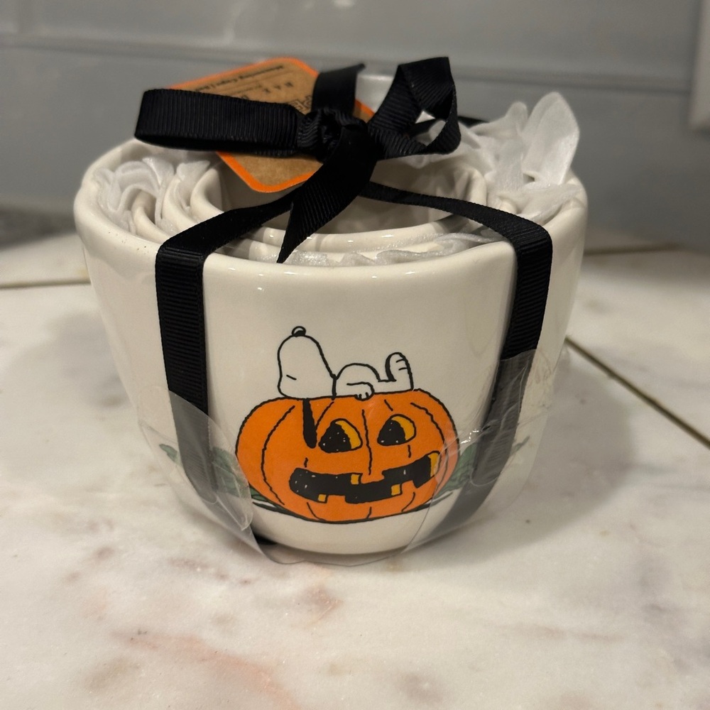 Rae Dunn X Snoopy Peanuts White Pumpkin Measuring Cups Set